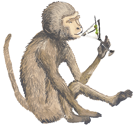 Illustration Monkey Sticker by Astek Home