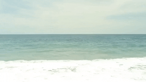orcas live in oceans GIF by WhoSay