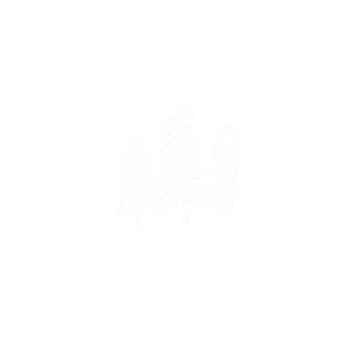 Snow Winter Sticker by zartmintdesign