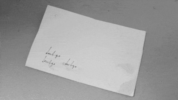 sub pop punk GIF by Sub Pop Records