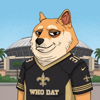 New Orleans Saints Football GIF by Doge Pound