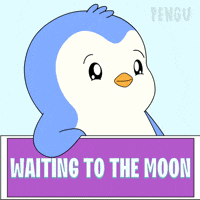 Happy Wink GIF by Pudgy Penguins