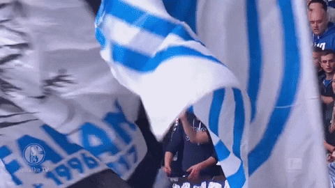 Football Soccer GIF by FC Schalke 04