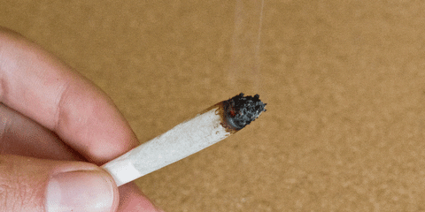 joint GIF