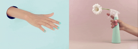 zoyauk giphyupload beauty hand pastel GIF