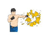 Ufc Mma Sticker by Setanta Sports