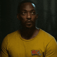Anthony Mackie GIF