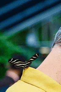 Natural History Museum Friends GIF by Natural History Museums of Los Angeles County