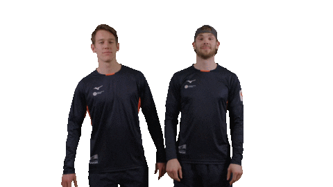 Teamnl Beachvolleybal Sticker by Nevobo