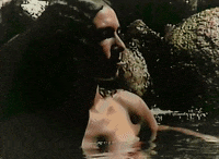 Waysides GIF by Bedouine