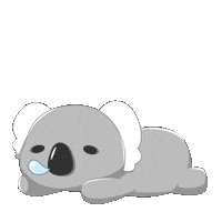 shuwei1212 koala fifi bearornot Sticker