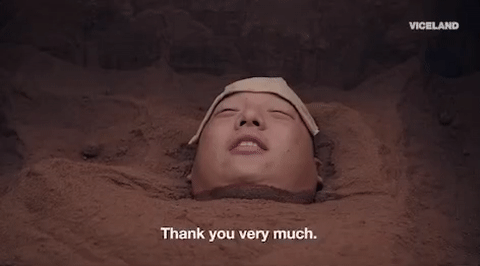 viceland GIF by HUANG'S WORLD