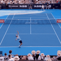GIF by Tennis Channel
