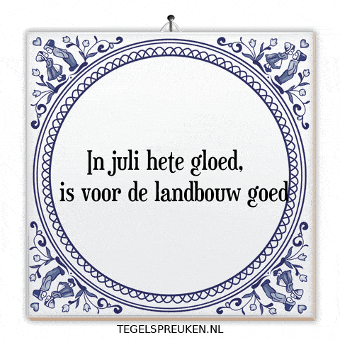 Spreuk Licht GIF by Tegelspreuken.nl