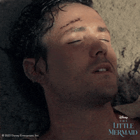 The Little Mermaid Eric GIF by Walt Disney Studios