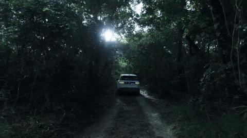 LandRover giphygifmaker forest discovery offroad GIF