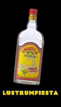 lustrumfiesta mexico colombia student tequila GIF