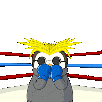 Fight Fighting Sticker by Pudgy Penguins