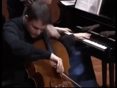 FIVLeon_MX giphygifmaker violoncello fivleonmx mikolaj konopelski GIF