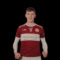 All-Ireland GIF by AIB