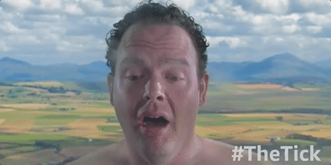 season 1 GIF by The Tick