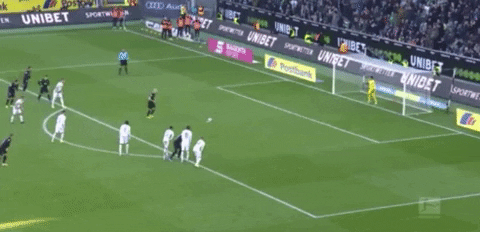 davidpanuska giphyupload GIF