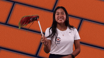 Cnwg22 GIF by Carson-Newman Athletics