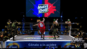 luchalibreaaa  GIF