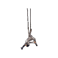 Sparkle Acrobatics Sticker by Ringling Bros. and Barnum & Bailey
