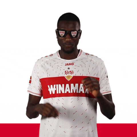 Serhou Guirassy Sunglasses GIF by VfB Stuttgart