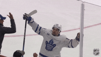 Happy National Hockey League GIF by NHL