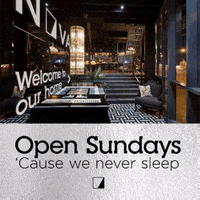 novakproperties novak open sunday GIF