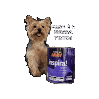 Produto Marca Sticker by TintasMC