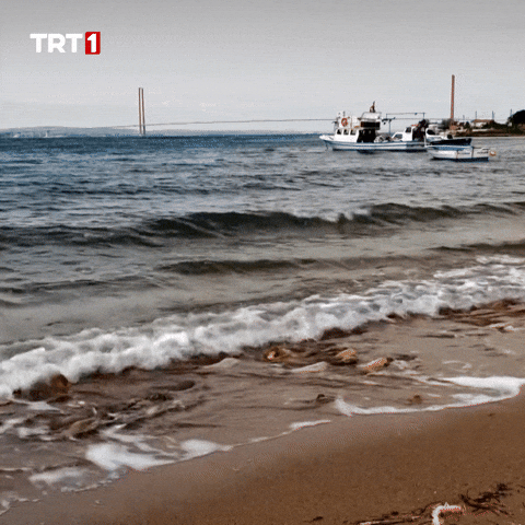 Relax Sea GIF by TRT