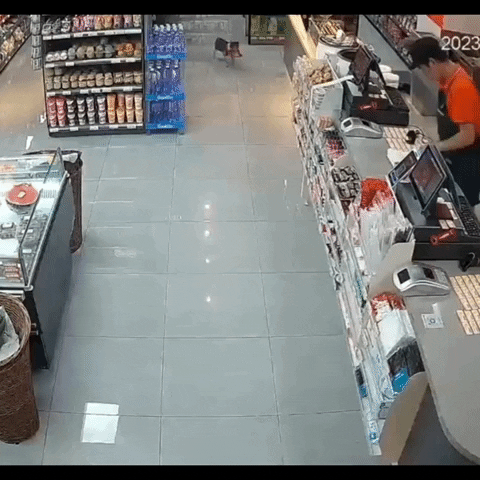 cuteanimalland giphyupload GIF