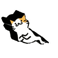 Cat Meme Sticker