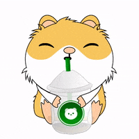 happy hamster GIF by AM by Andre Martin