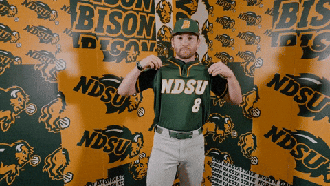 Baseball Bison GIF by NDSU Athletics