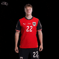 Fifa World Cup Austria GIF by Respective