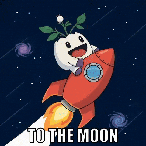 Rocketing To The Moon GIF by Magic Eden