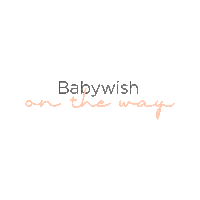 healthcoachYaz baby babyontheway healthcoachyaz babywishontheway Sticker