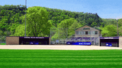 Warriors Softball GIF by WinonaStateATH