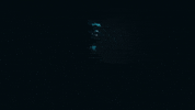 Travis Barker GIF by Jack Kays