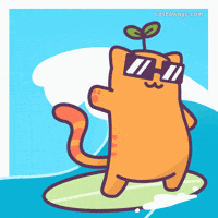 Cat Hang Ten GIF by Castaways