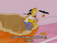 homer simpson mess GIF