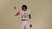 Georgia Tech Football Sport GIF by Georgia Tech Yellow Jackets