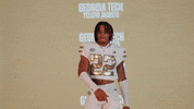 Georgia Tech Football Sport GIF by Georgia Tech Yellow Jackets