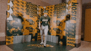 Baseball Bison GIF by NDSU Athletics