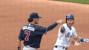 Ny Mets No GIF by New York Mets