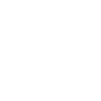 Palm Tree Festival Sticker by Rakastella